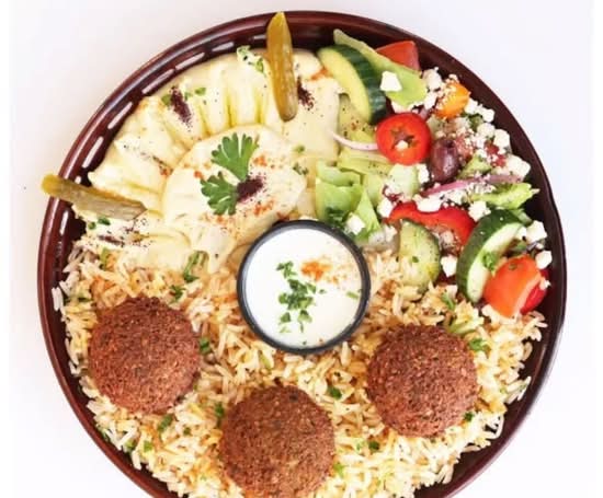 Go Halal Food | Trusted Halal Food Delivery Platform in USA