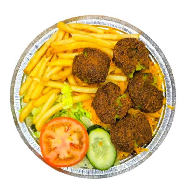 Go Halal Food | Trusted Halal Food Delivery Platform in USA